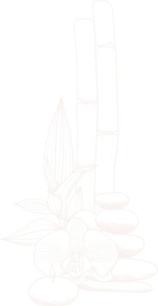 Ayurvedic Wellness Solutions Coimbatore